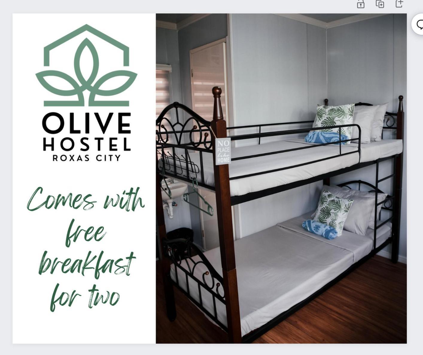 Olive Hostel โรฮัสซิตี้ ภายนอก รูปภาพ